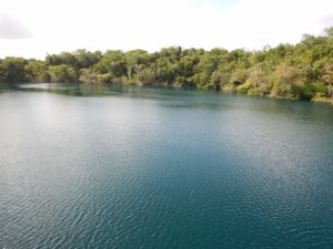 Cenote Azul 1