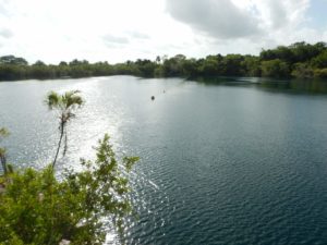 Cenote Azul 2