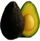 Avocado - die Butter des Urwaldes