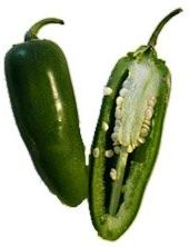 Chili jalapeno