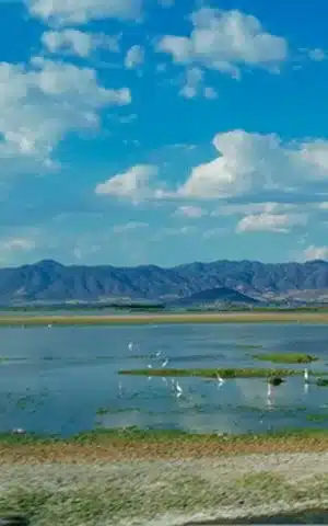 Lago Cuitzeo