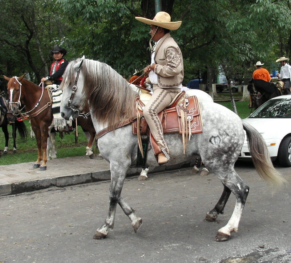 Charro Charreads